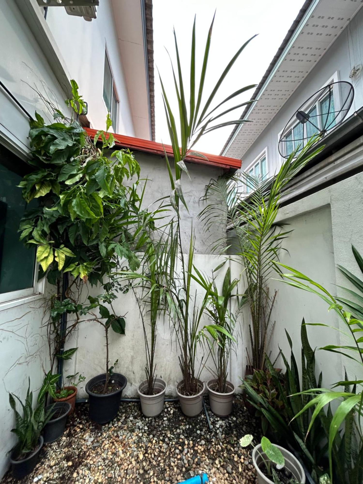 ไนซ์สเตย์ เฮาส์ แอทคลองสาม รังสิต คลองหลวง ปทุมธานี Nice Stay House At Khlong Sam - Rangsit - Khlong Luang - Phathumthani Dış mekan fotoğraf